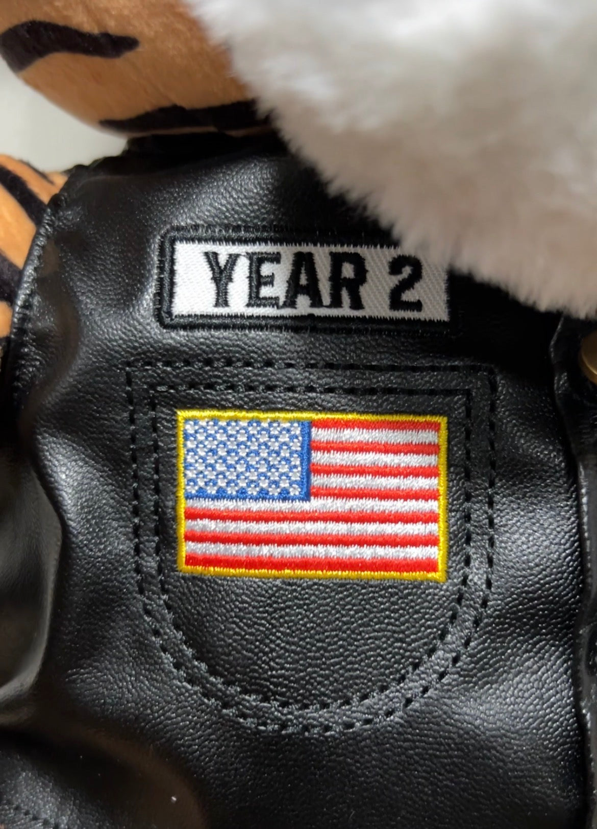 TOMMEE the Tiger — 2026 Resilience Edition
